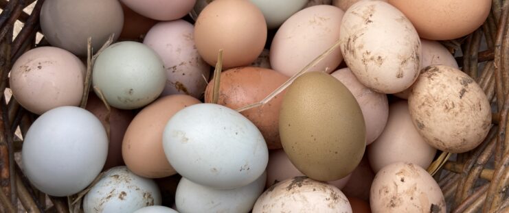 vajíčka jsou symbolem plodnosti, křehkosti a nového života. Nemysli.